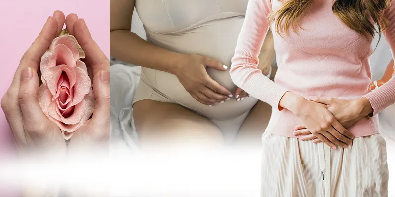 Collage conceptuel avec des mains tenant une rose, le ventre d'une femme enceinte et une femme se tenant la zone pelvienne.