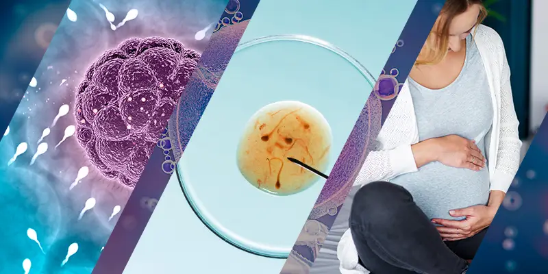 estimulación ovárica, stimulation ovarienne, ovarian stimulation, stimolazione ovarica, Stimulation der Eierstöcke