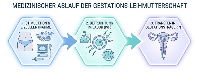 Medizinische Ablauf