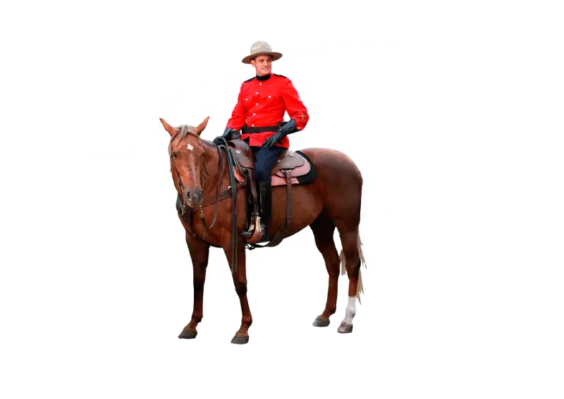 leihmutter kanada